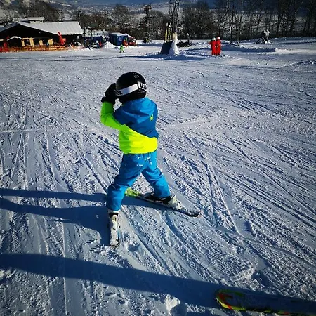 Διαμέρισμα Hofer Niedernsill